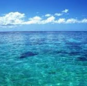 Meet your Posher, Dewayne